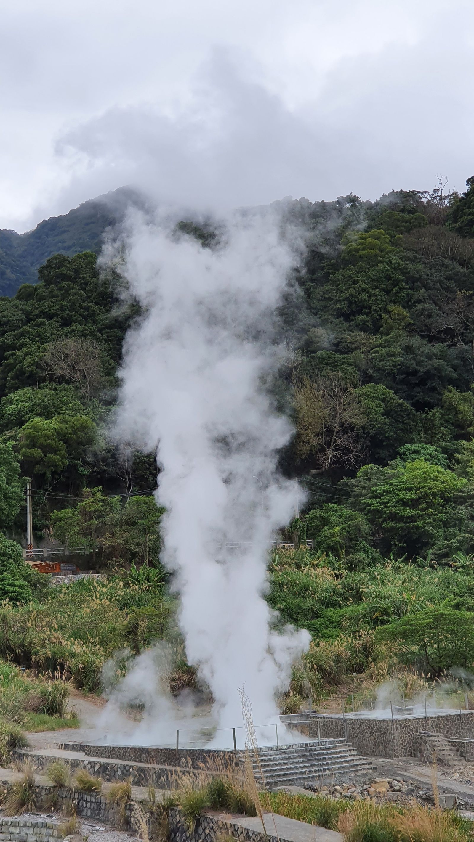 A column of geothermal steam rising from forested Sulphur Valley