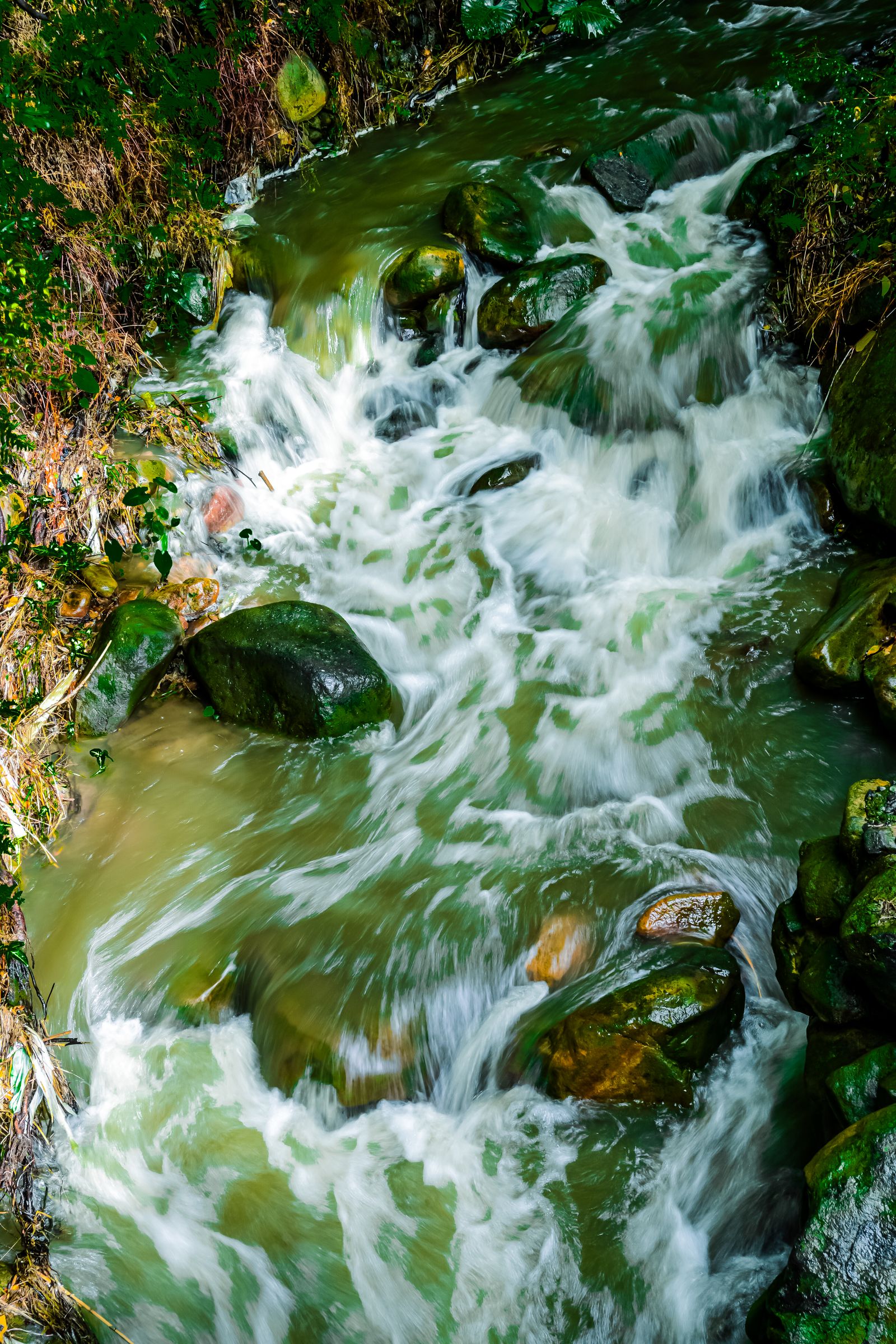 White water rushing over mossy rocks in Taipei's green hills