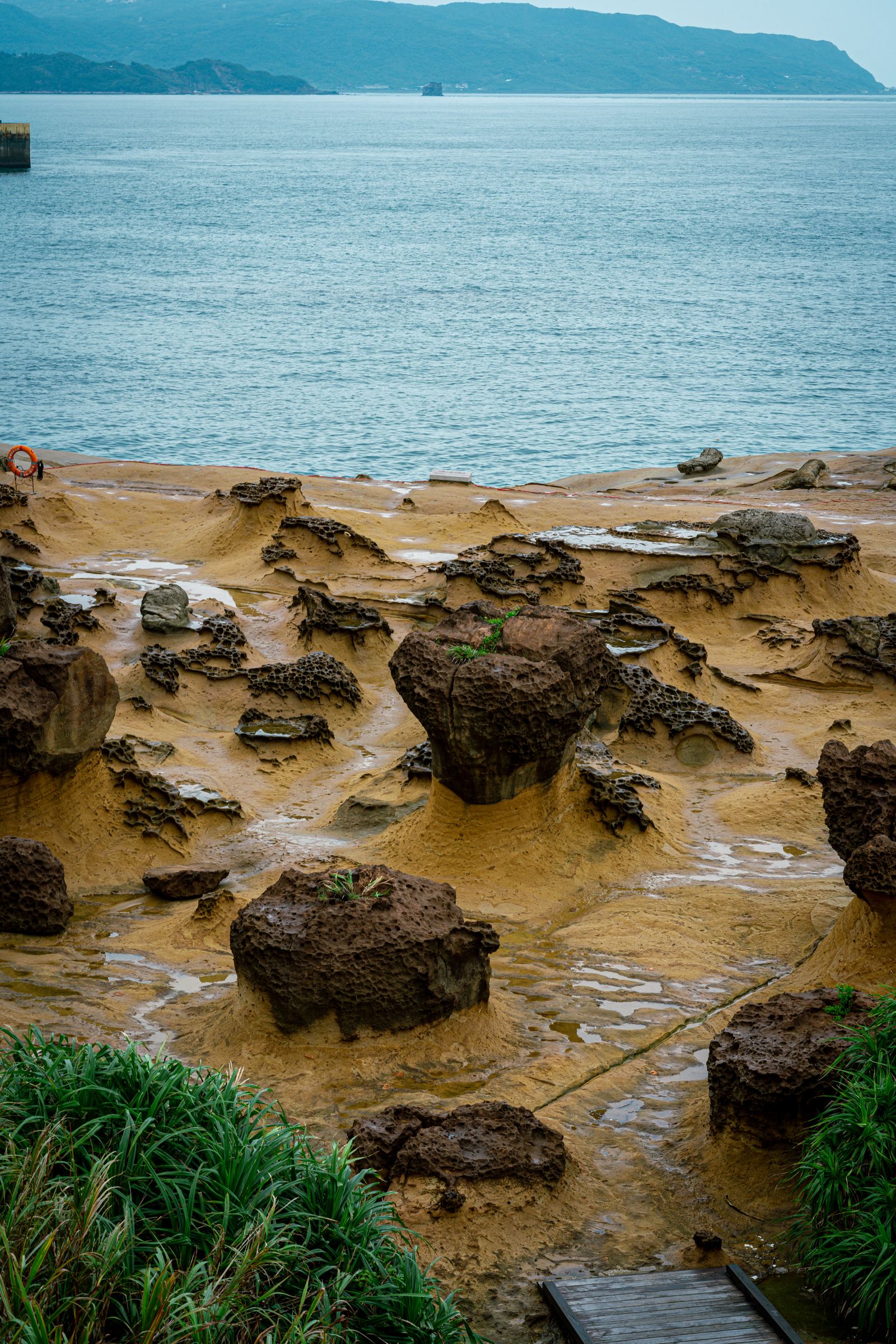Wave-carved ochre rock formations beside the sea at Yehliu