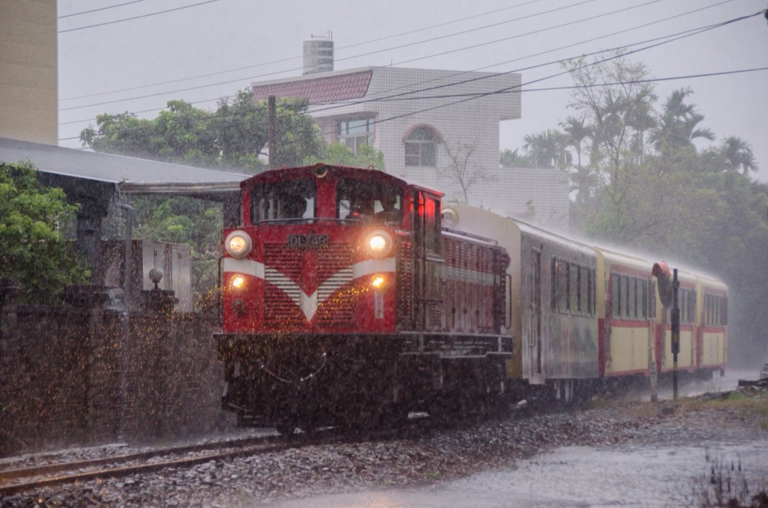 Red Alishan Forest Railway train moving through wet mountain forest