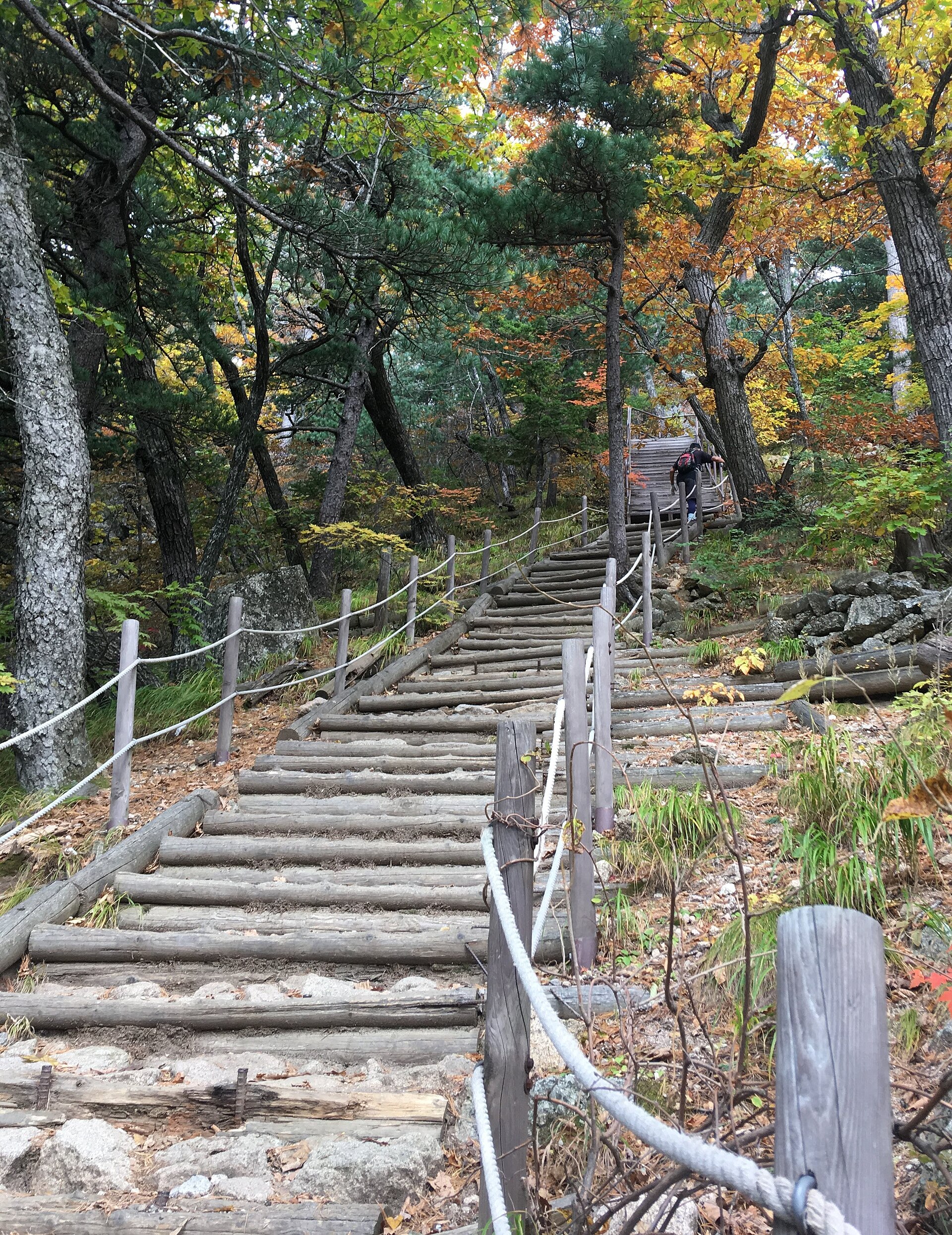 Rocky forest trail beneath granite peaks in Seoraksan National Park